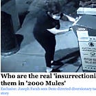 The Bogus Mule Team At WND