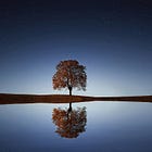 Compassion for the Self