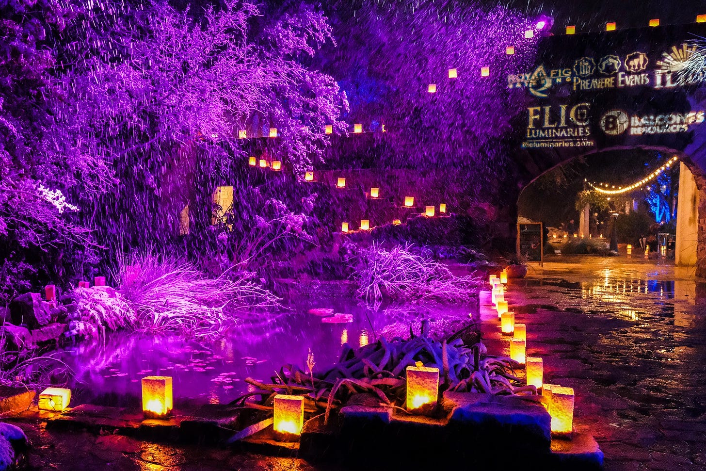 Luminations at the Lady Bird Johnson Wildflower Center. Photo: Earl Mcgehee, CC BY-SA 3.0, via Wikimedia Commons