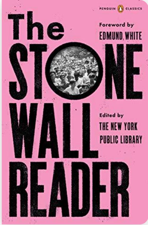 Cover of The Stonewall Reader