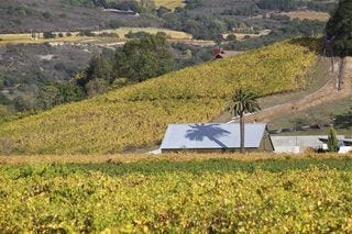 A - Napa Valley @ 700 dpi 1 A - Napa Valley @ 700 dpi 1