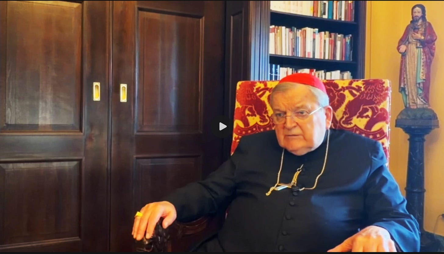 Cardinal Burke: ‘Synodality Has to Be Stopped’