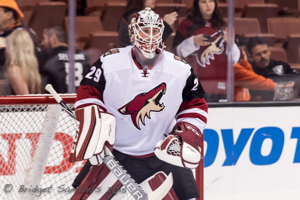 Arizona Coyotes goalie Arizona Coyotes goalie