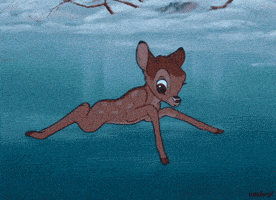 Bambi Walking GIFs - Find & Share on GIPHY Bambi Walking GIFs - Find & Share on GIPHY