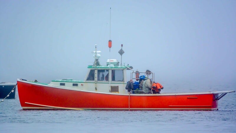Maine lobster landings fall for fourth straight year | National Fisherman Maine lobster landings fall for fourth straight year | National Fisherman