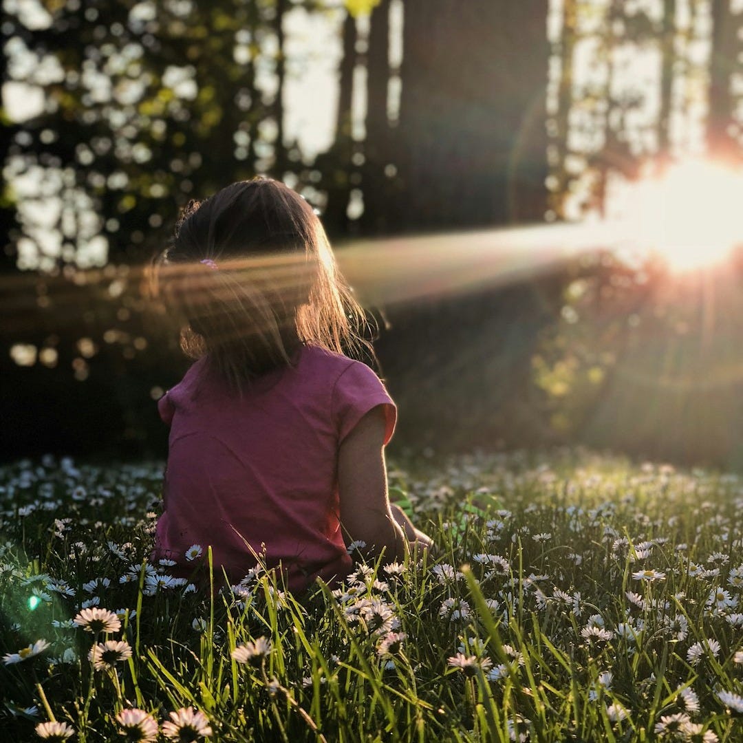girl sitting on daisy flowerbed in forest