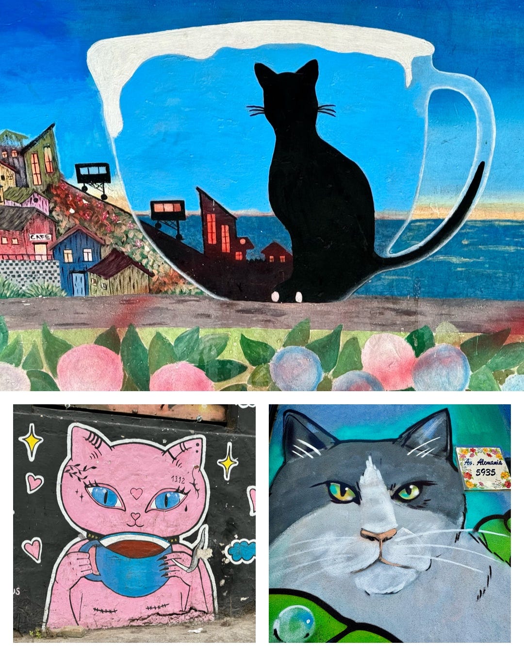 Tres murales de gatos en Valparaíso. Fotos propias.