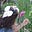 Dakshita ♡'s avatar