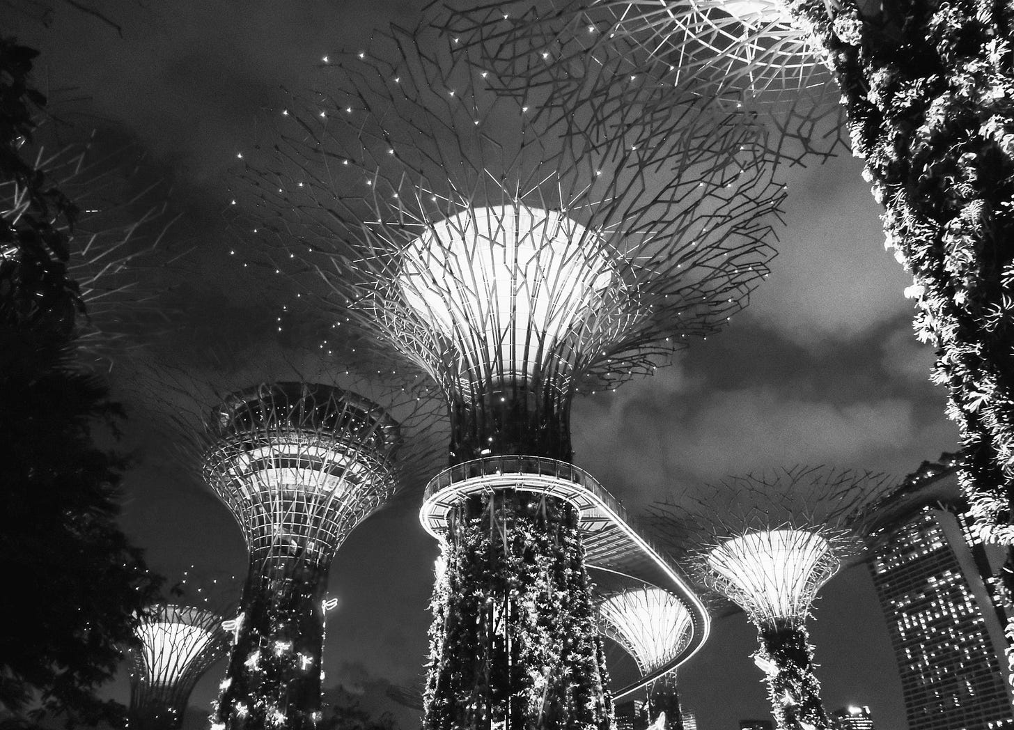 Black-and-white futuristic garden structures connected by elevated walkways, blending ecology, architecture, and infrastructure into a living interconnected environment.