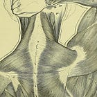 Thiamine For Myofascial Dysfunction