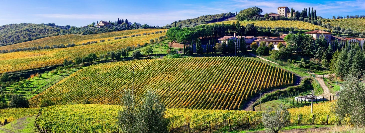 Brunello di Montalcino wine tour | Visit Tuscany