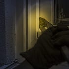 Increased Risk of Burglaries During the Christmas Holidays