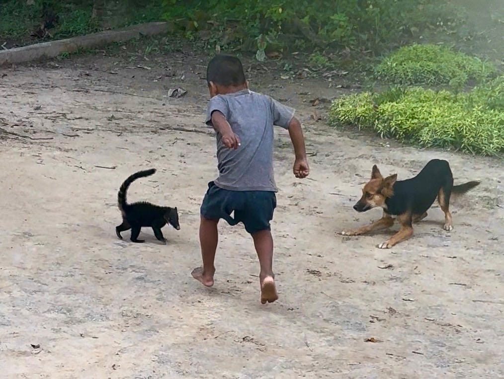 Photo of child and animals in San Miguel village