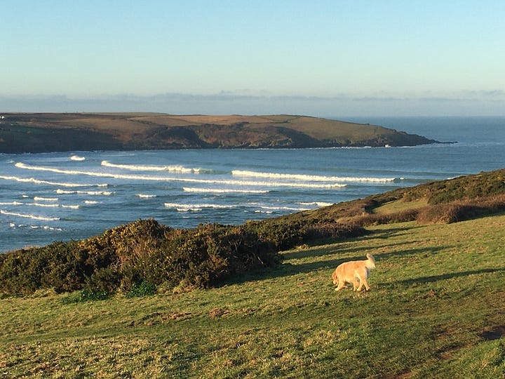 photos in Cornwall by Sabrina Simpson