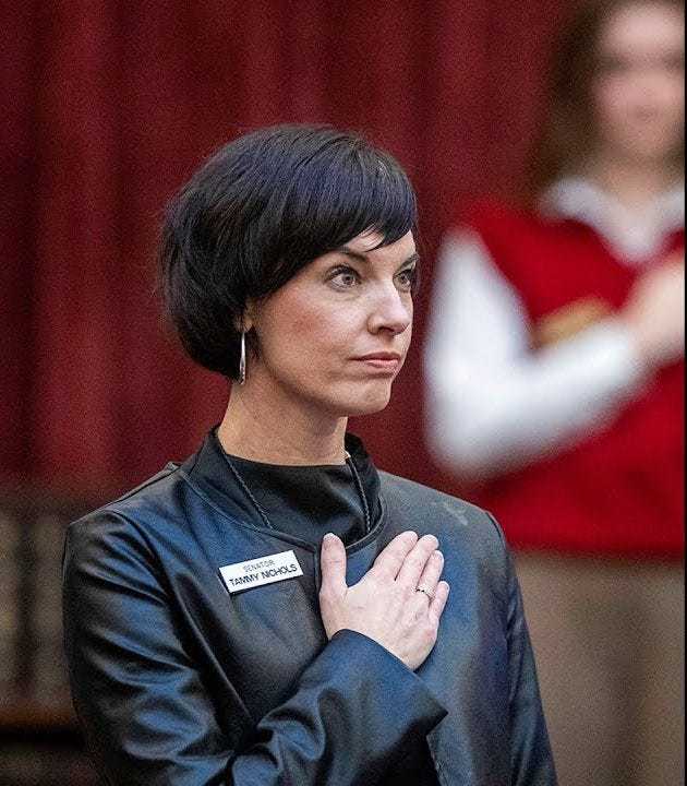 Idaho Family Court Corruption Confronted: Idaho joins Arizona, Florida, and Texas in pushing sweeping family court reforms.