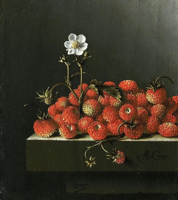 Still with Life - Andrea Aliseda