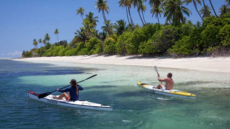 Two Kayakers along the Palm Tree-Lined Beach