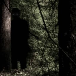 Lees dit niet voor het slapengaan