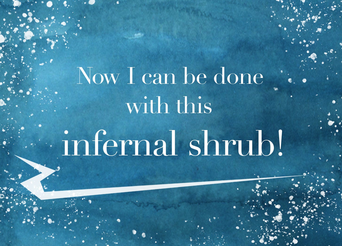 Now I can be done with this infernal shrub!