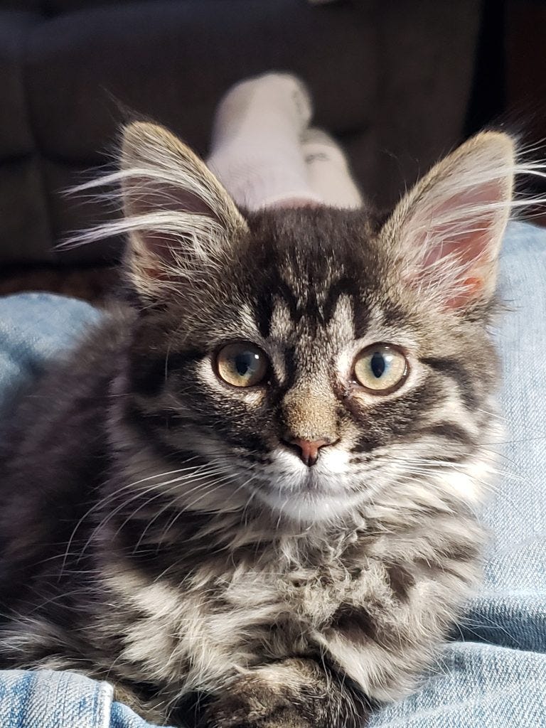 Bella Bella