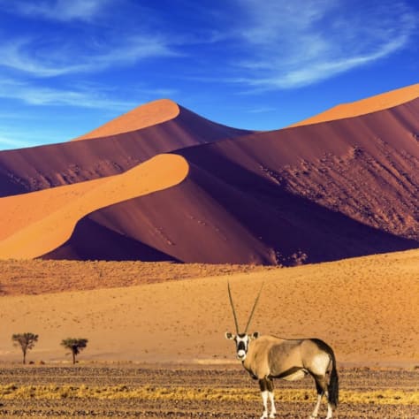 Namibia biodiversity, wildlife, The Himba and The Khoisan