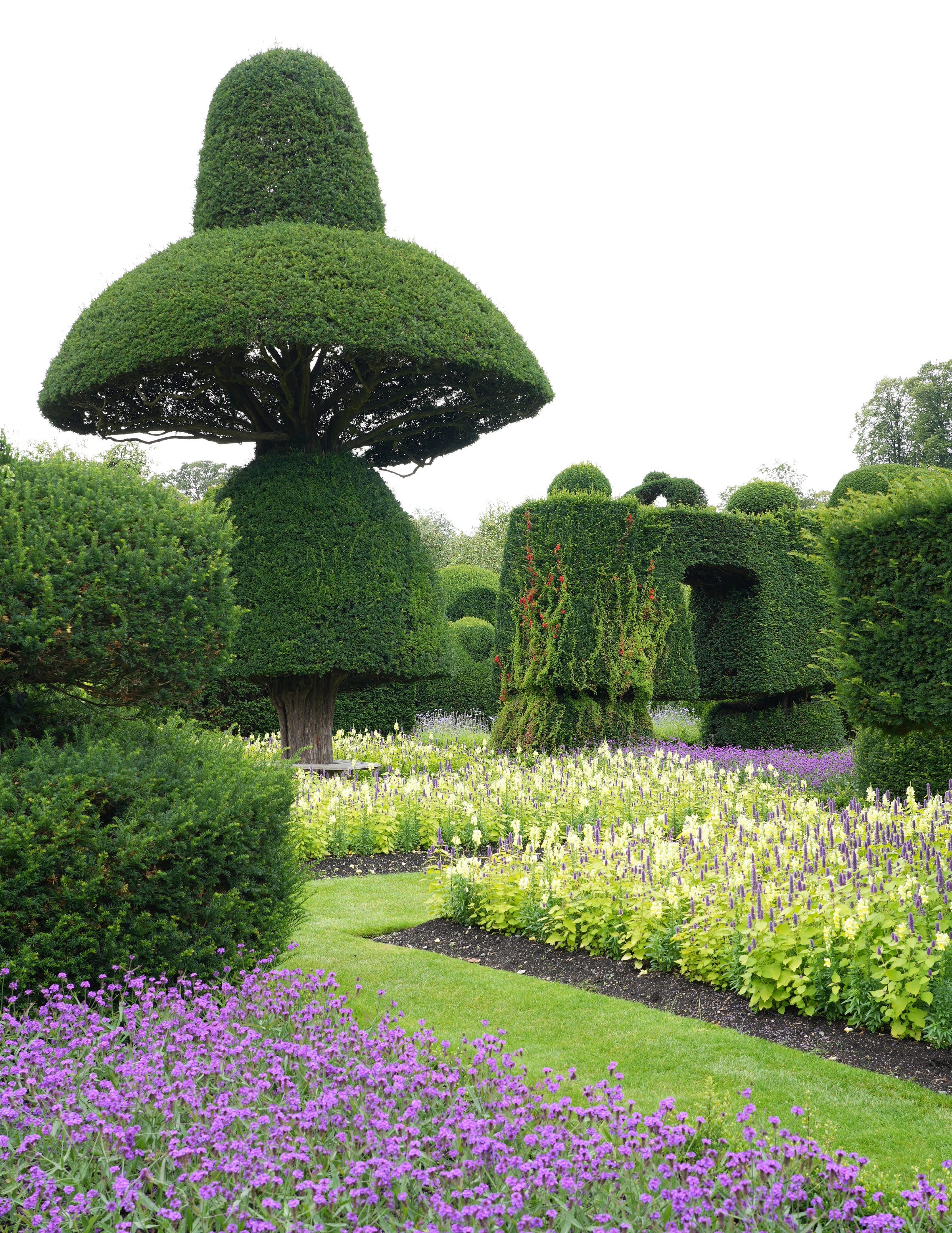 Levens Hall garden topiary