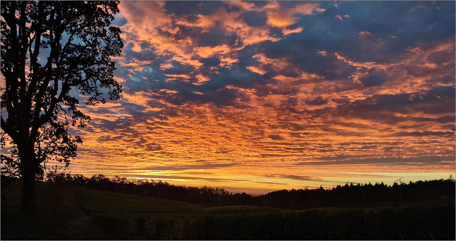Smoke free sunrise on Willamette Valley harvest morning.