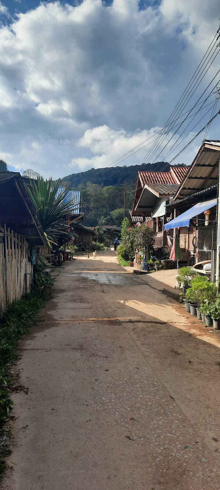 Note the electric wires, and the potted plants. Rooves are more angled in Thailand get rain water away more quickly.