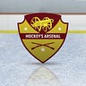 Hockey IQ Newsletter