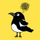 Magpie Brain