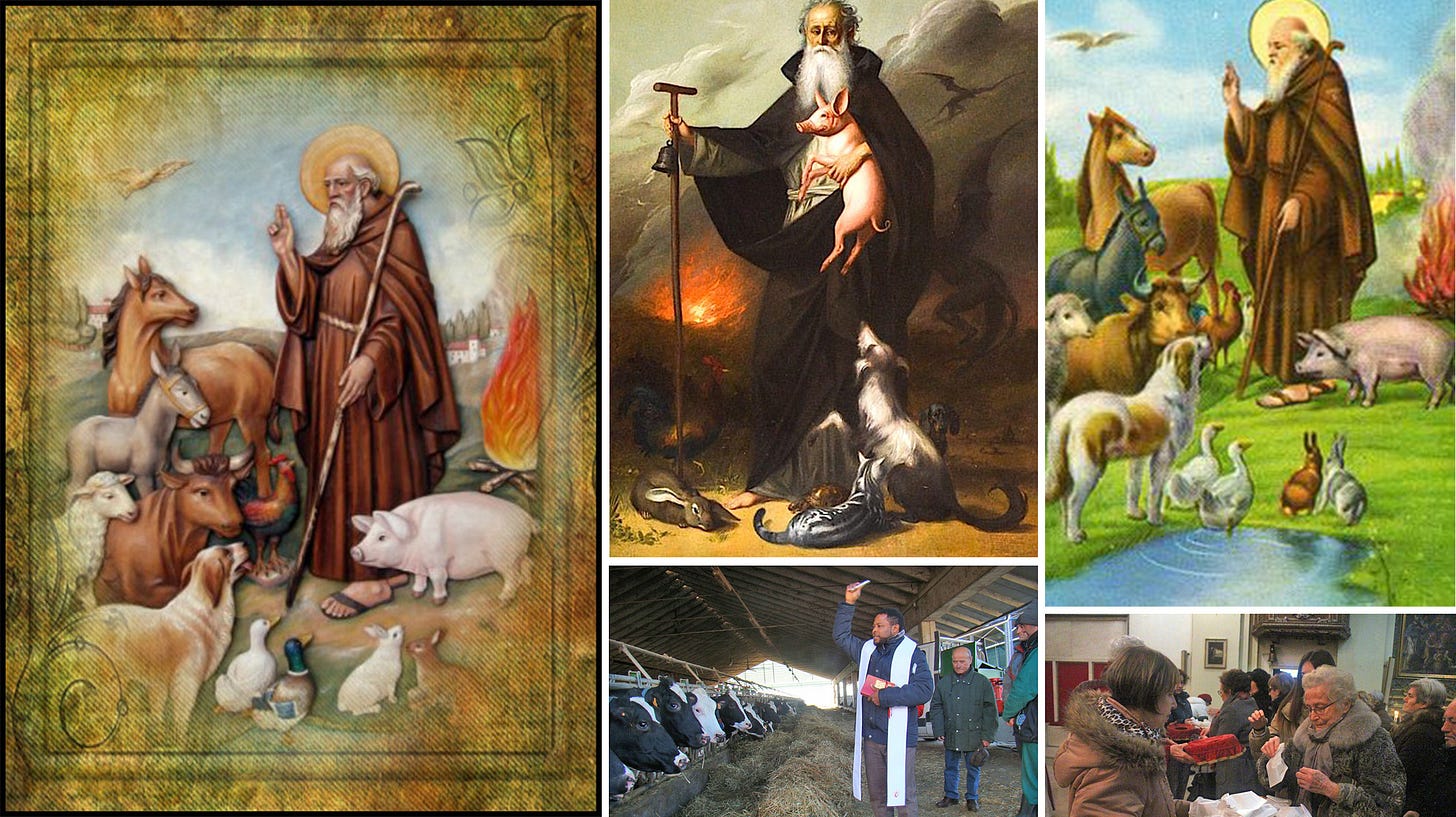 Sant'Antonio Abate: l'antica tradizione nelle terre di fiume - OglioPoNews Sant'Antonio Abate: l'antica tradizione nelle terre di fiume - OglioPoNews