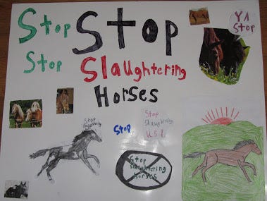 This image has an empty alt attribute; its file name is IMG_0800.jpg