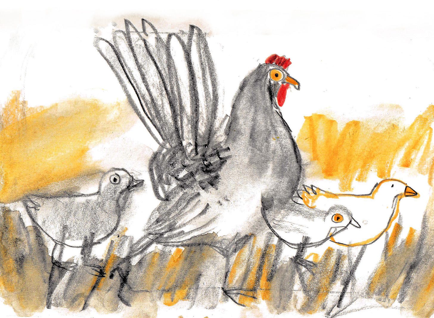 chickens in graphite by Beth Spencer chickens in graphite by Beth Spencer