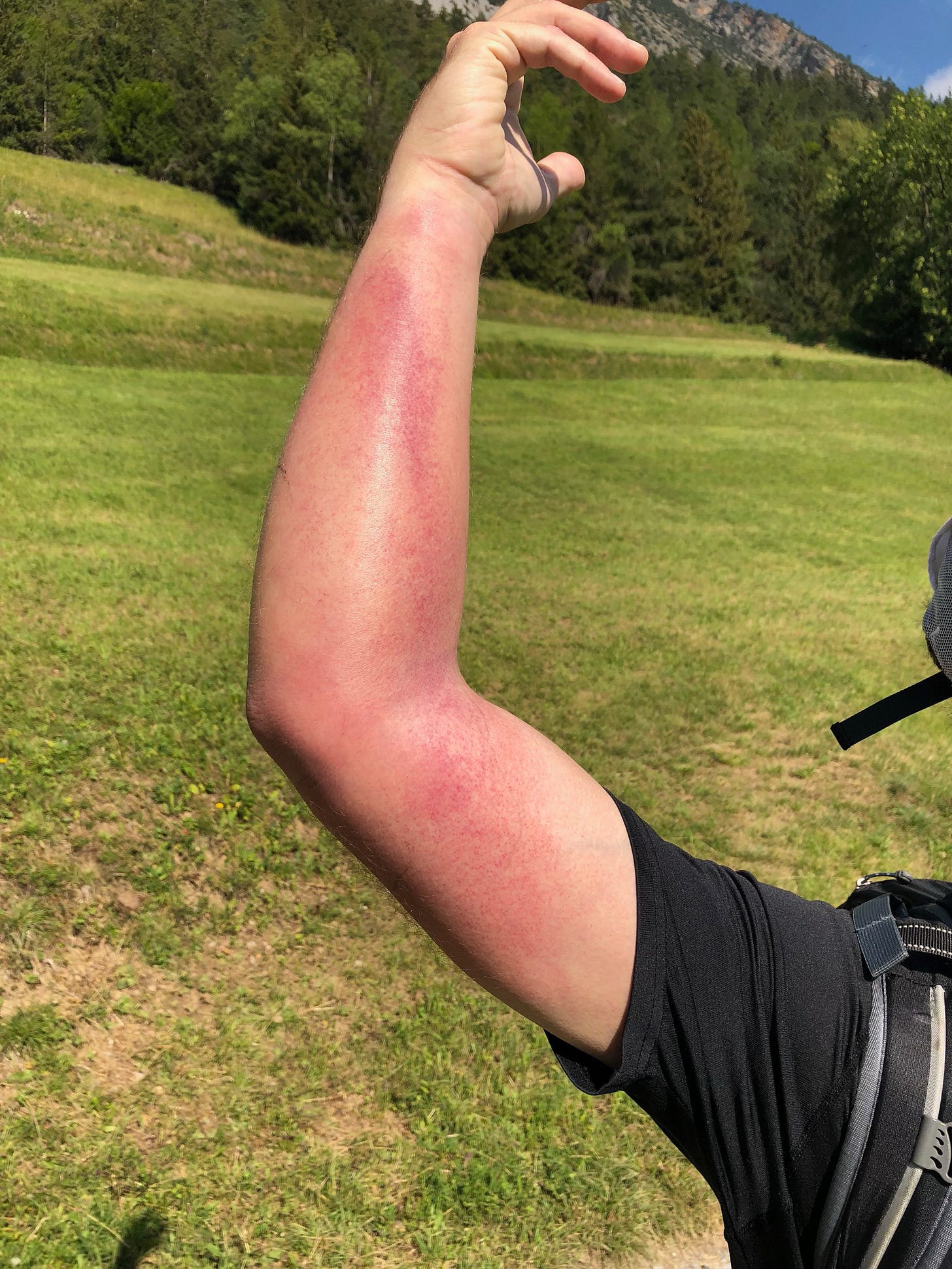 This does not look good.