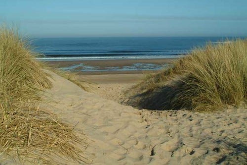 South Beach Dunes and Grasses