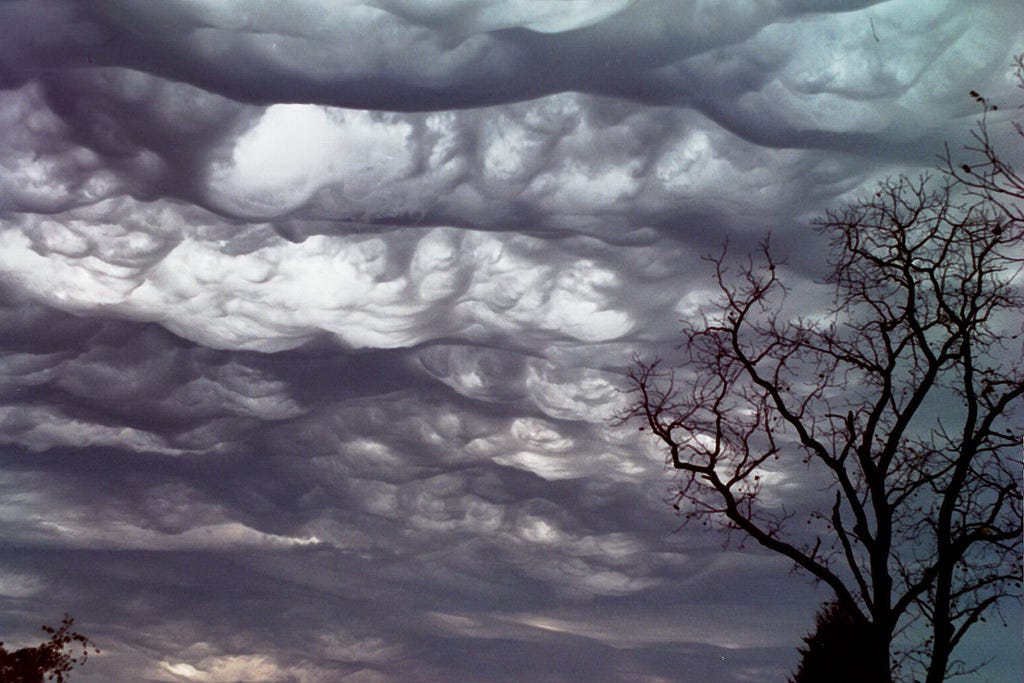 Stratocumulus_stratiformis_opacus_lacunosus_undulatus_asperitas.jpg