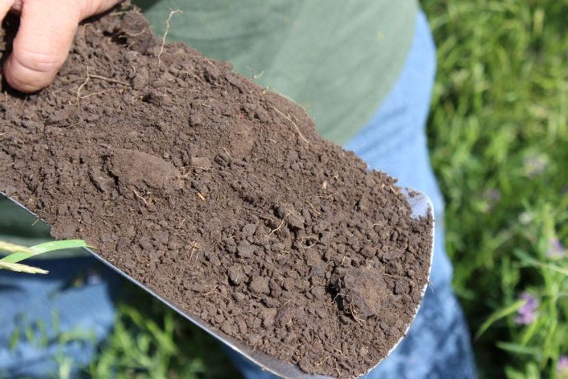 Brown's Ranch soil