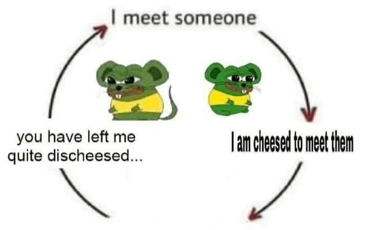 meet someone you quite have left me discheesed... I am cheese fo meet them quite discheesed...