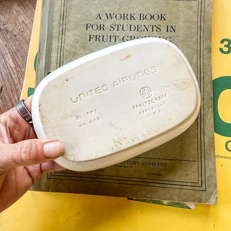 antique books, united airlines ceramic dish, plant books, winnie the pooh