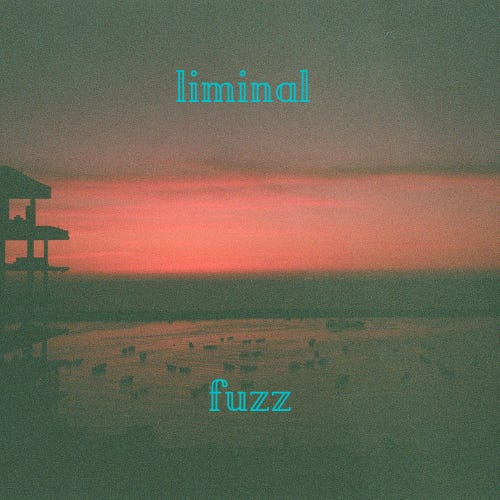 liminal fuzz \ud83e\udd40 