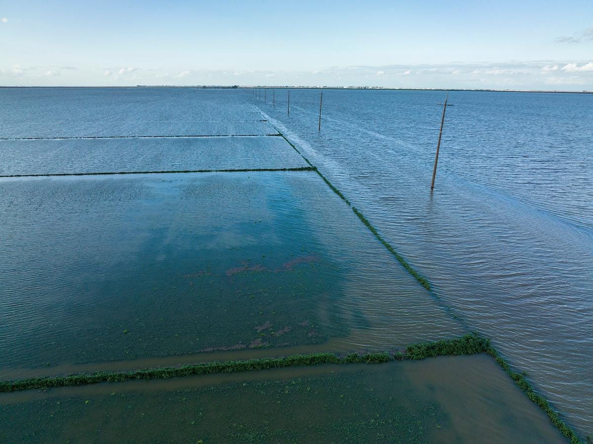 Image shows flooded crop fields in Tulare Lake Basin in 2023