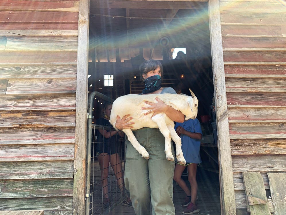 The WHAT IT'S LIKE Newsletter