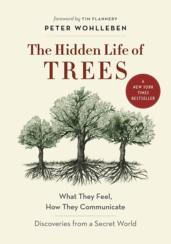 Amazon.com: The Hidden Life of Trees: What They Feel, How They  Communicate―Discoveries from A Secret World (The Mysteries of Nature, 1):  9781771642484: Wohlleben, Peter, Billinghurst, Jane, Flannery, Tim, Simard,  Suzanne: Books