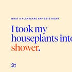 I took my houseplants into the shower