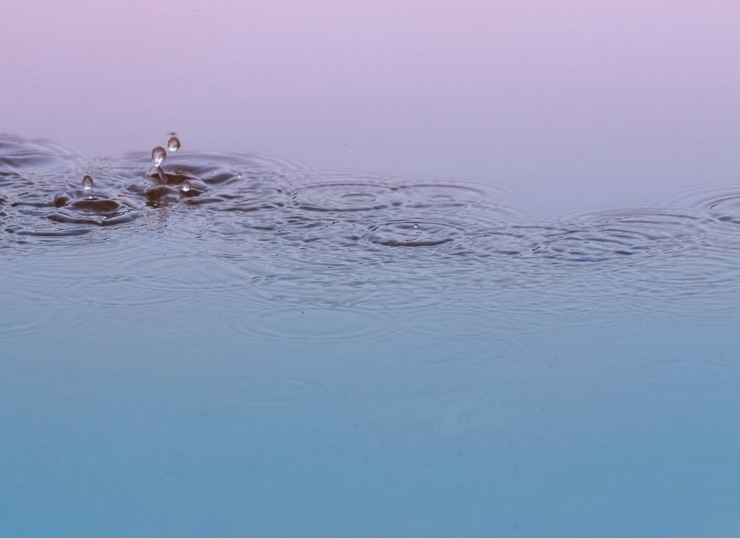 macro photography water drops