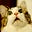 alt_Tabby's avatar