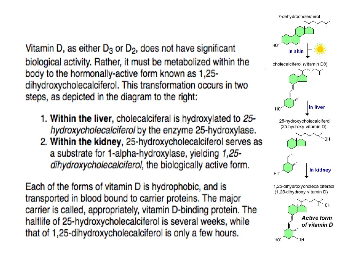 Diagram of vitamin D activation, from 7-dehydrocholesterol in the skin to the active hormone Diagram of vitamin D activation, from 7-dehydrocholesterol in the skin to the active hormone