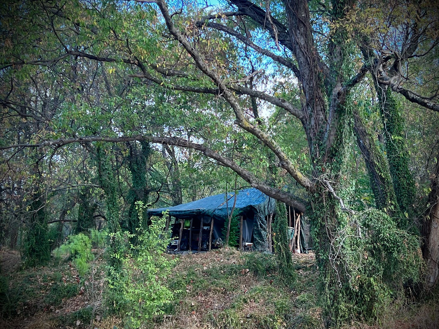 Tent shelter of an unhoused man in an urban wood