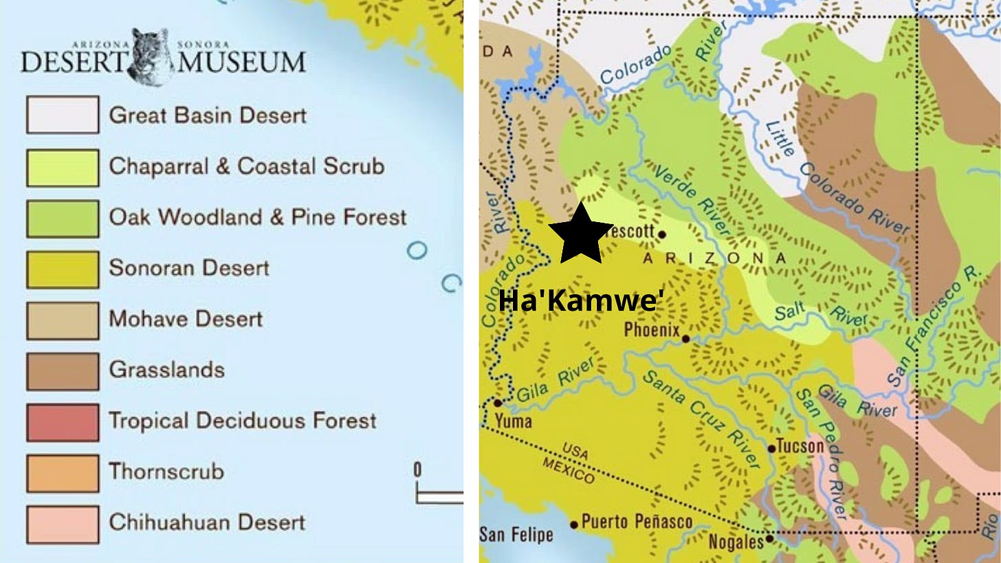 About — Protect Ha'Kamwe'
