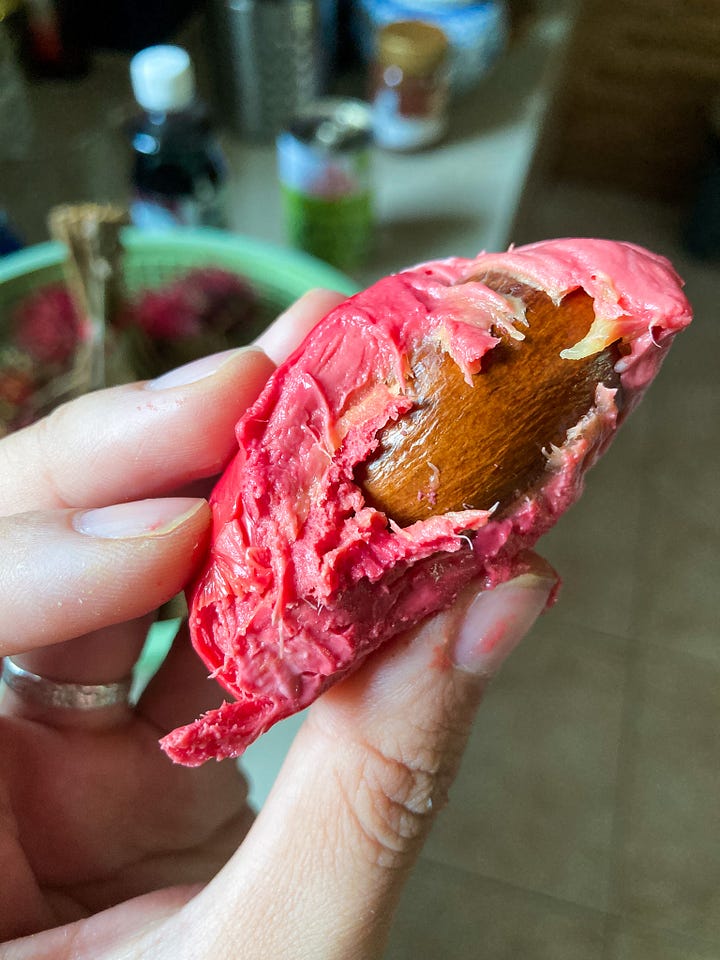 durian otak red